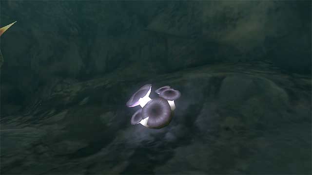 ゼルダの伝説 ティアキン ティアーズオブザキングダム totk 洞窟に光るキノコ